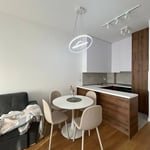 Rent of a furnished 2-room apartment, 45 m², New Belgrade, Serbia